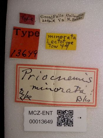 Media type: image;   Entomology 13649 Aspect: labels
